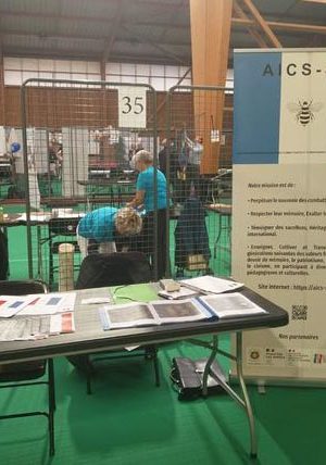 7 septembre 2024 : L’AICS-SR était présente avec un stand au forum des Associations à Noisy le Roi dans les Yvelines !