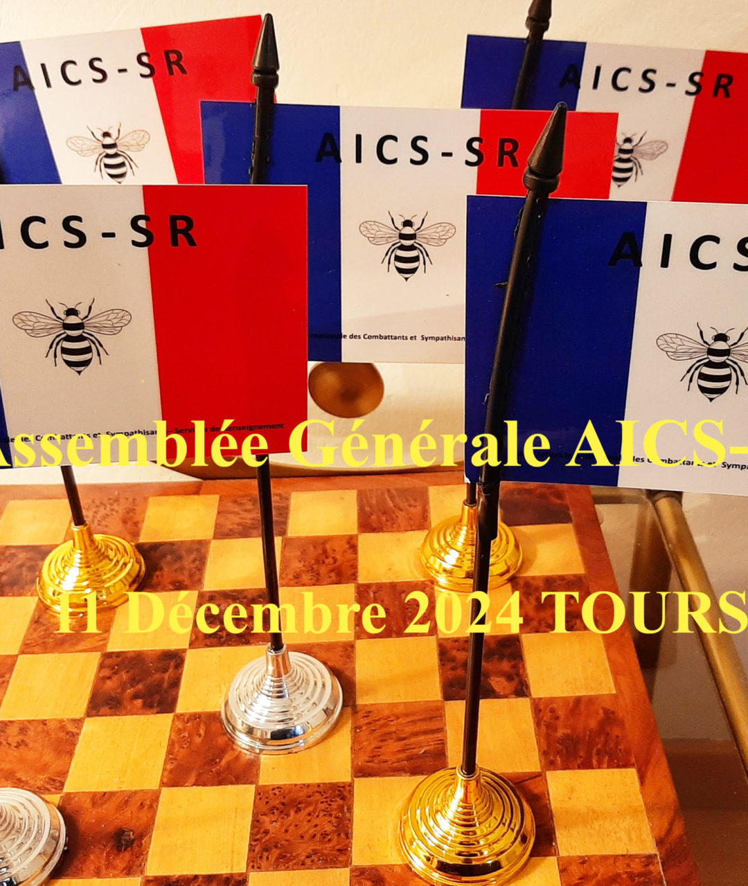 11 décembre 2024 : Assemblée générale de l’AICS-SR à Tours