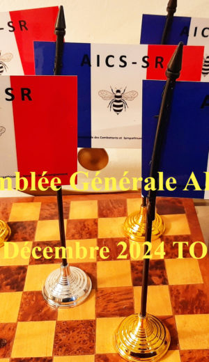11 décembre 2024 : Assemblée générale de l’AICS-SR à Tours