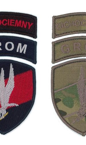Les Cichociemni : les commandos invisibles
